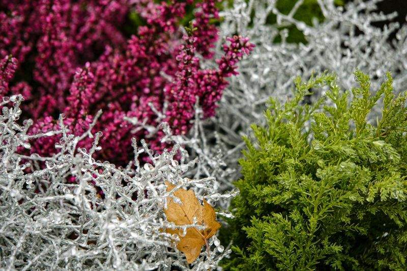 Grünblick Gartenservice GmbH 10